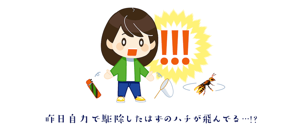 昨日自力で駆除したはずのハチが飛んでる