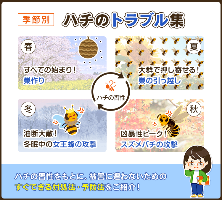 季節別ハチトラブルとすぐできる対処法！【ハチ被害を防ぐために】