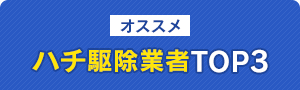 オススメ蜂駆除業者TOP3