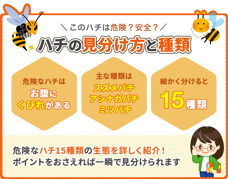 危険なハチを一瞬で見分ける ハチの種類と特徴とは 蜂バトル