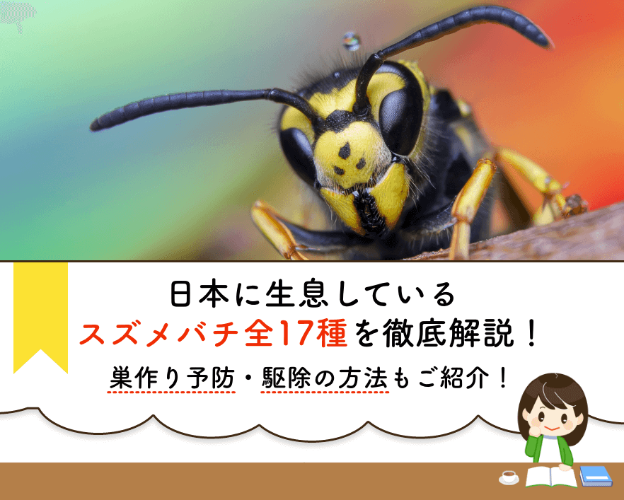 スズメバチ図鑑 スズメバチ全17種類を網羅 対処法 駆除法も解説 蜂バトル
