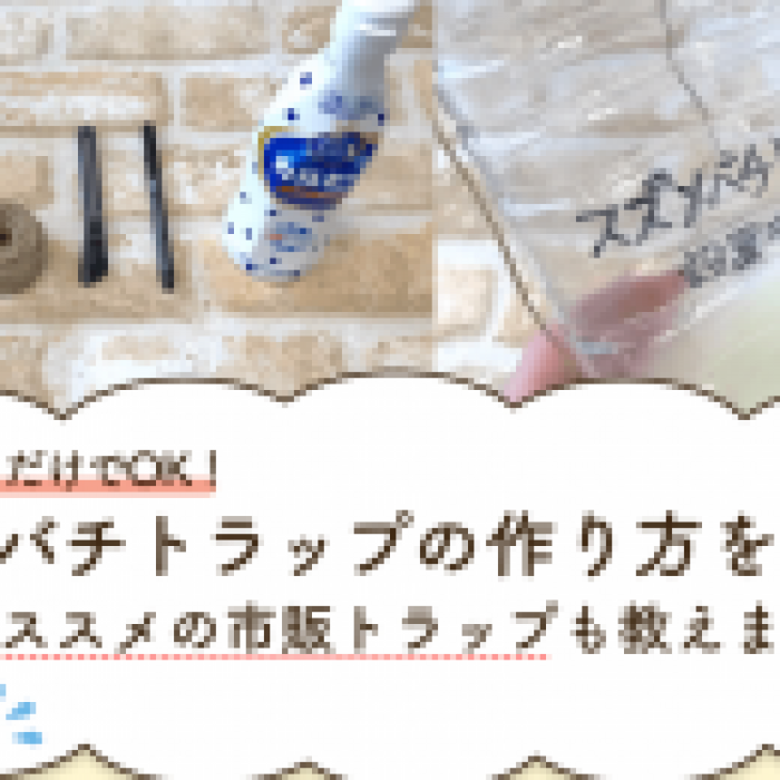 主婦が挑戦】かんたん！スズメバチトラップの作り方【家にあるものだけ