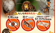 【注意】怖いスズメバチをもっとも安全に駆除する方法【刺されると失明・死亡・賠償金リスク】