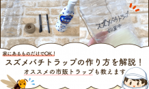 【主婦が挑戦】かんたん！スズメバチトラップの作り方【家にあるものだけで蜂トラップ】
