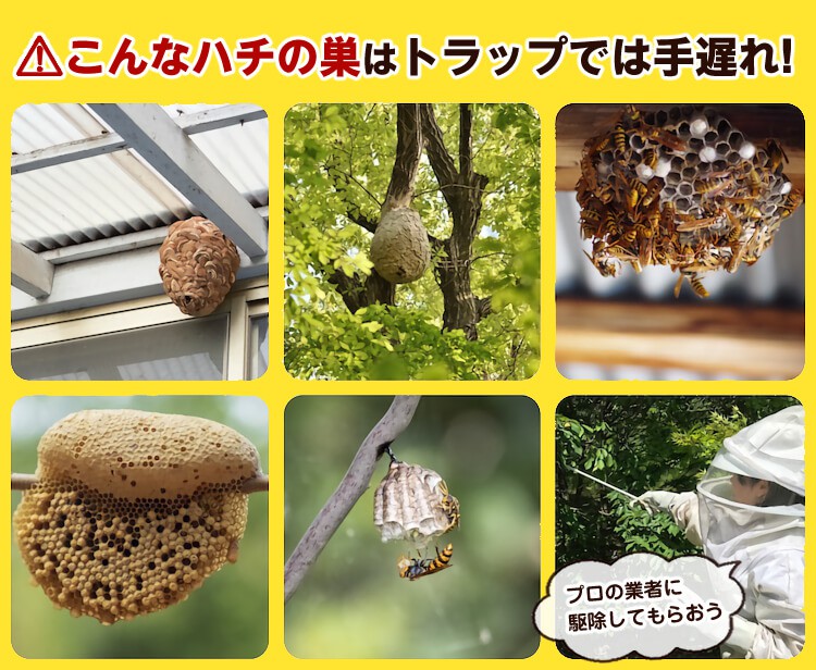 ハチの巣が作られていたらプロの蜂駆除業者に連絡
